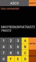 Hex Converter ảnh chụp màn hình 2