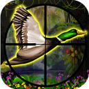 Duck Hunter Adventure 2015 APK