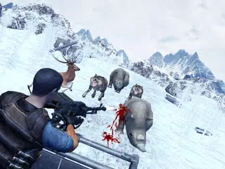 Descargar APK de Escape Forest Wild Hunter