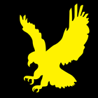 HawkVision иконка