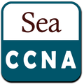 SeaCCNA - Noticias