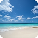 Sea Live Wallpaper-APK