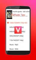 Viamade Video Downloader Guide Affiche