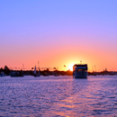 Searching Newport Beach Homes APK