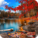 Seasons Wallpaper APK