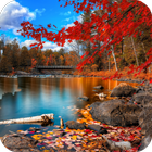 Seasons Wallpaper أيقونة