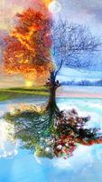 Seasons Wallpaper Affiche