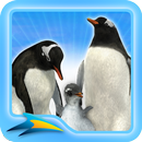 Antarctica APK