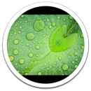 MiUI Rain Drops live wallpaper aplikacja