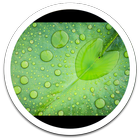 MiUI Rain Drops live wallpaper آئیکن