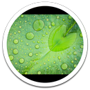 MiUI Rain Drops live wallpaper-APK