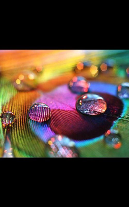 Photo Hd HD Live Wallpaper APK Download - Gratis Personalisasi APL untuk Android APKPure.com