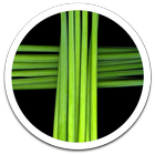 Green Cross Live Wallpaper आइकन