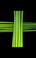 Green Cross Live Wallpaper पोस्टर