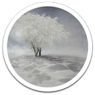 My Photo Wall Winter Trees LWP icono