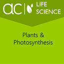 Plants & Photosynthesis APK