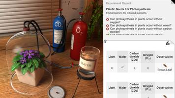 Plants & Photosynthesis capture d'écran 1