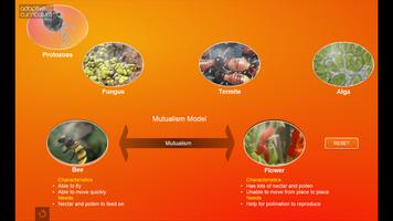 Mutualism imagem de tela 3