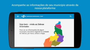 Sebrae Orientador постер