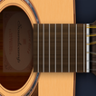 Acoustic(12 strings) Guitar - 