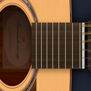 Acoustic(12 strings) Guitar -  APK