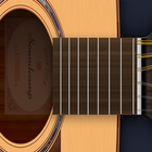 Acoustic(12 strings) Guitar -  icon