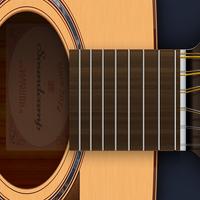Acoustic(12 strings) Guitar -  Affiche