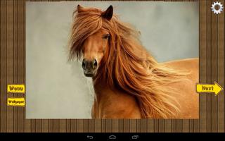 Horses Jigsaw Puzzles game تصوير الشاشة 1