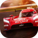 APK Le Mans: 3D