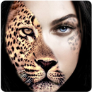 Multi Faces Face Morph Blender APK