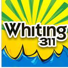 Whiting 311 icône