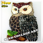 COLLAGE DE SEMILLAS CREATIVO for Android APK Download
