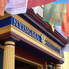 Nyingma School Wallpapers icône