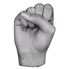 Скачать ASL Fingerspelling APK
