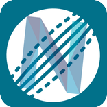 Next Cricket - Scoring With Te