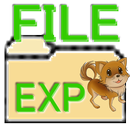 FILE EXP APK