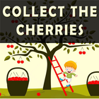 Collect The Cherries icon