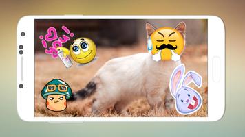 Photo Stickers Pro 2017 poster
