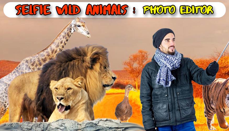 Animal edits