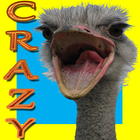 Crazy Ostrich Running Zeichen