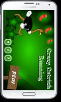 Crazy Ostrich Running โปสเตอร์