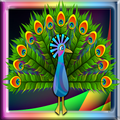 Peacock Run Adventure