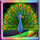 Peacock Run Adventure icon