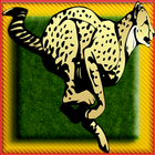 PIPO: Cheetah Run Adventure icono