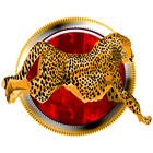 WITAH - Wild Cheetah Run icon