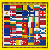 World Flags Memory Match иконка