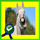 Adventurer Horse Race Running أيقونة