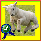 Adventurer Sheep Farm Running icône
