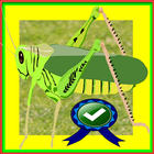 Hungry Locust Adventure آئیکن