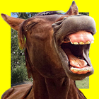 Funny Horses Faces Matching-icoon